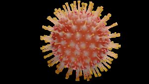 virus, isolated, corona